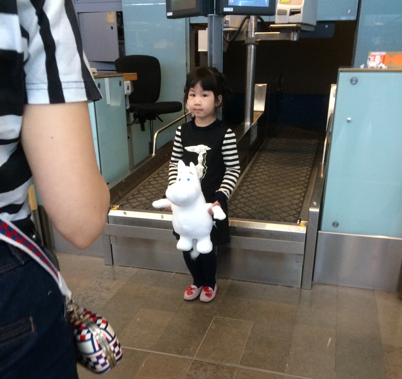 Japanese Stockholm Airport