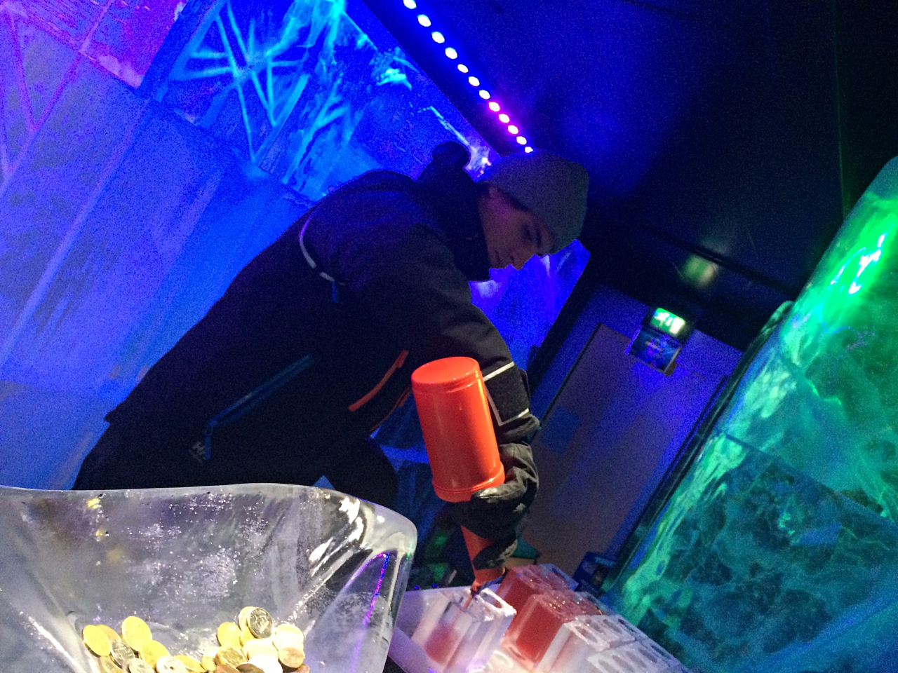 Absolut Ice Bar Mixologist