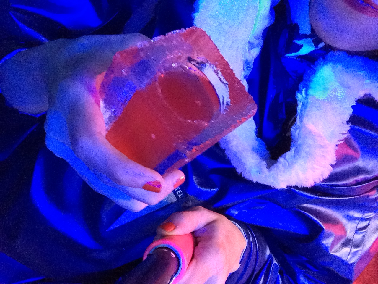 Absolut Ice Bar Veidehi Gite