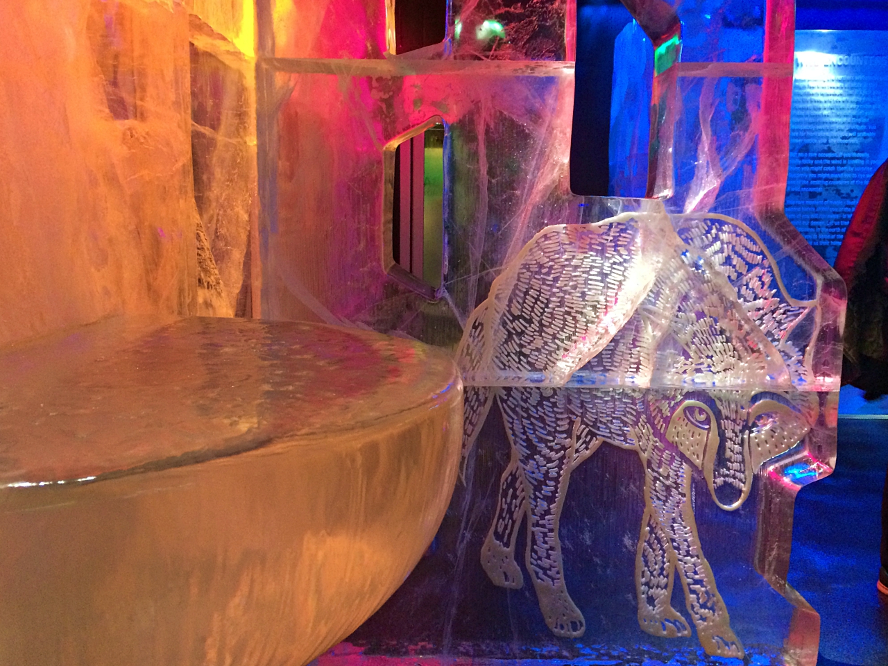 Absolut Ice Bar Wall Art