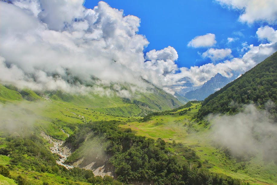 Valley of Flowers View