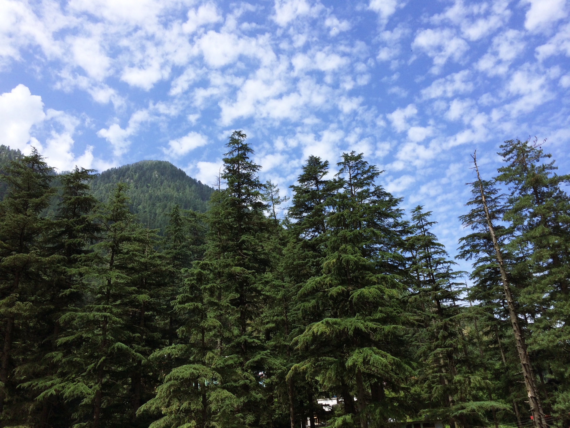 Himachal Scenic Beauty