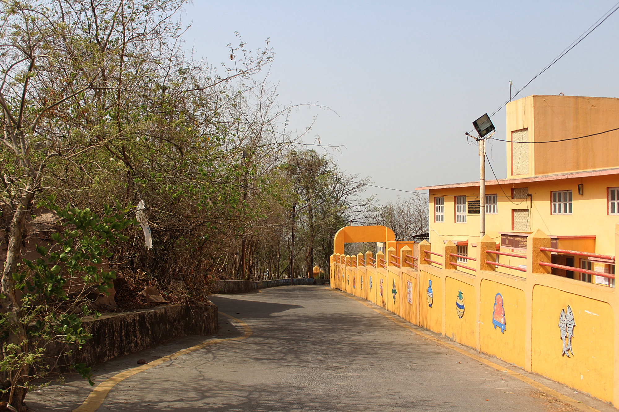 Mahaveer Giri Way back