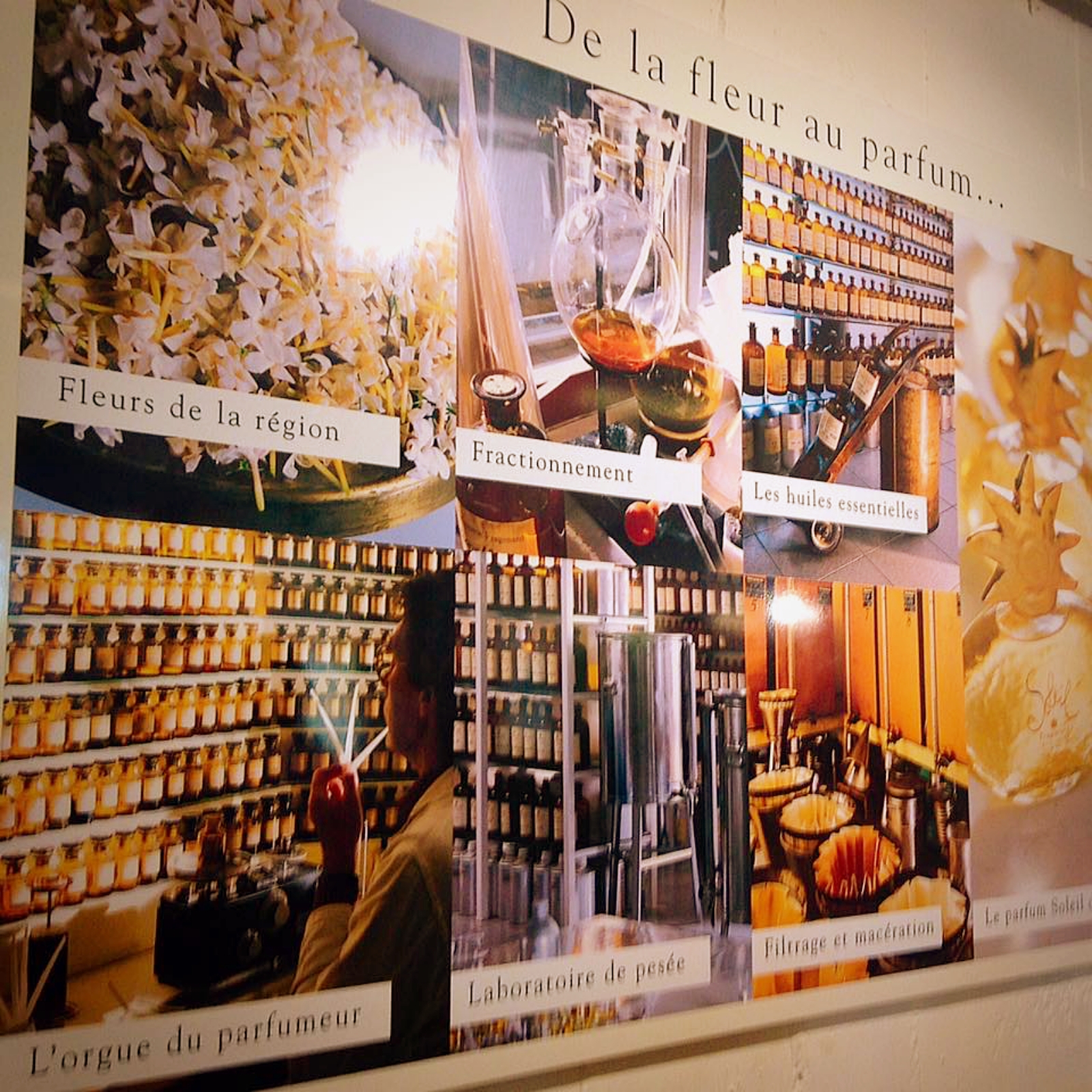 Fragonard perfume museum