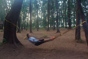 Veidehi Gite Devbagh Beach Resort