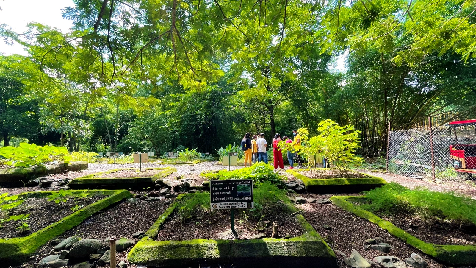 Arogyavan Waghai Botanical Garden