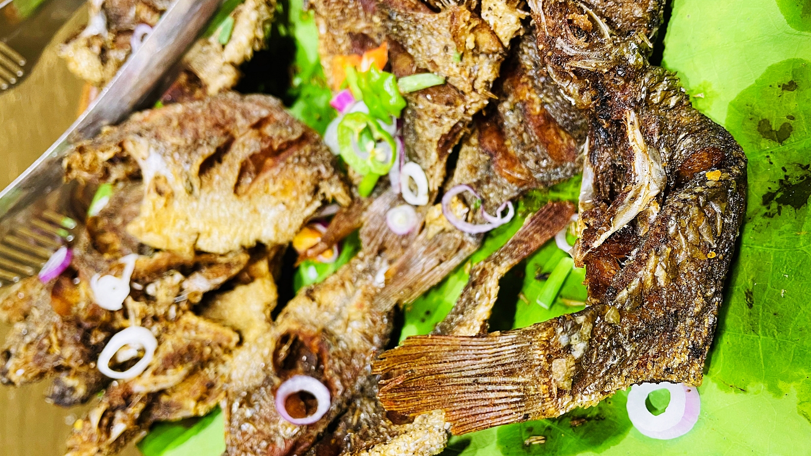 Trincomalee Fried Fish
