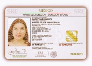 Mexican Driver's License