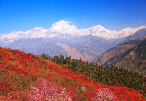 Pokhara