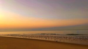 White Sands Bay Sunrise