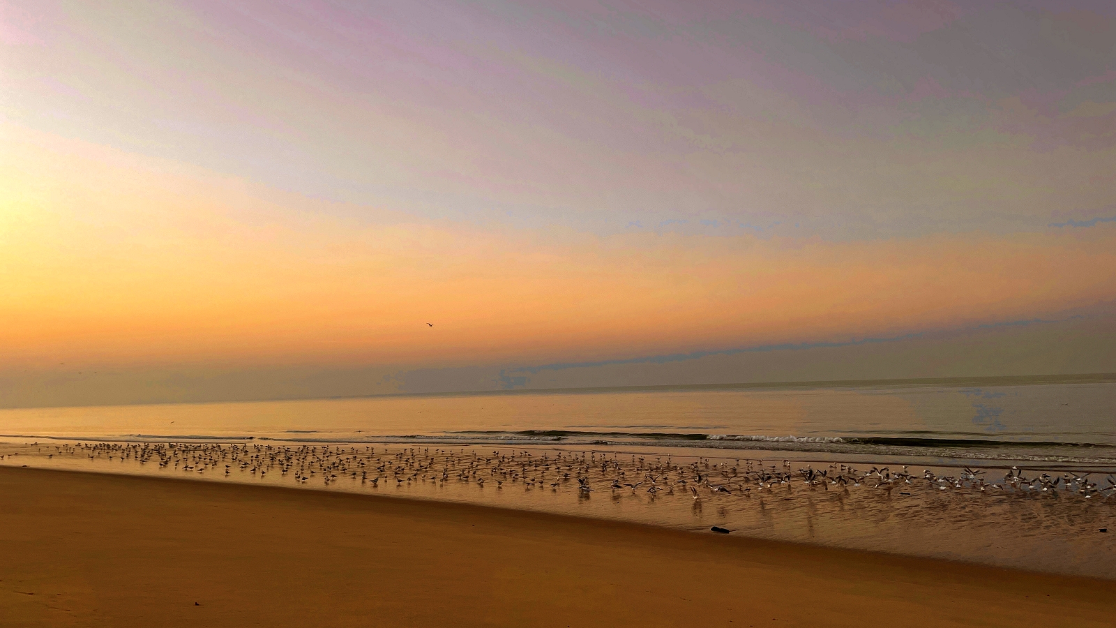 White Sands Bay Sunrise